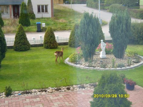 2010_bild_windows-480_filer_103.jpg